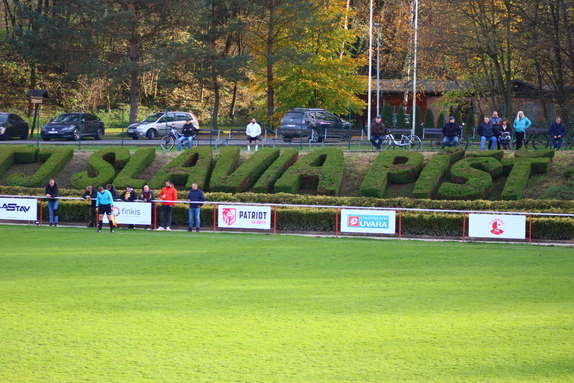 TJ Slavia Píšť 1-1 FK ISMM Město Albrechtice 9