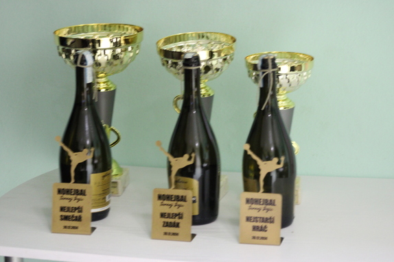 Nohejbal trojic 2024 1