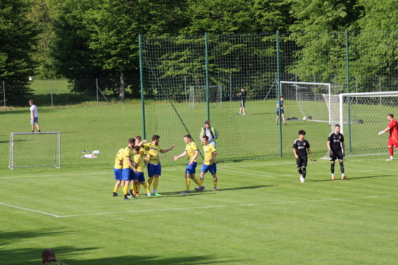 TJ Spartak Budišov n. B. 1-1 FK ISMM Město Albrech