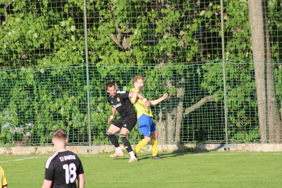 TJ Spartak Budišov n. B. 1-1 FK ISMM Město Albrech
