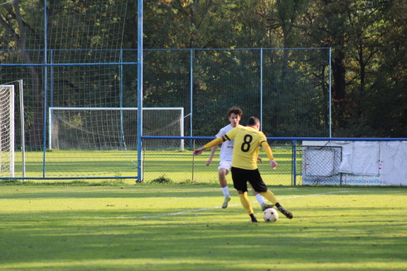 TJ Ludgeřovice 1-3 FK ISMM Město Albrechtice 10
